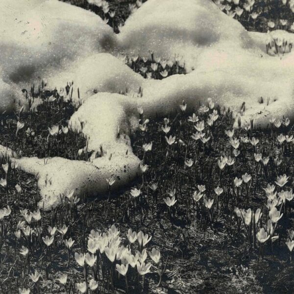 Paul ÉLUARD - Carte autographe signée à André BRETON. 1928.