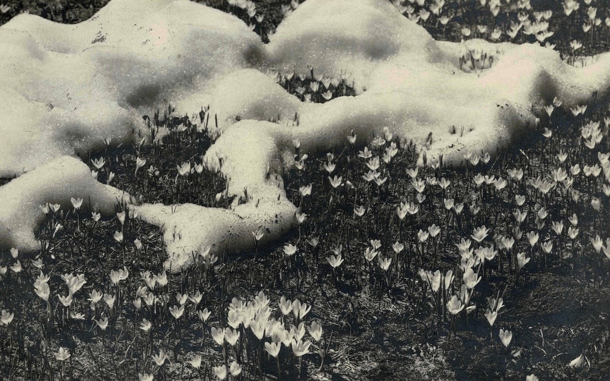 Paul ÉLUARD - Carte autographe signée à André BRETON. 1928.